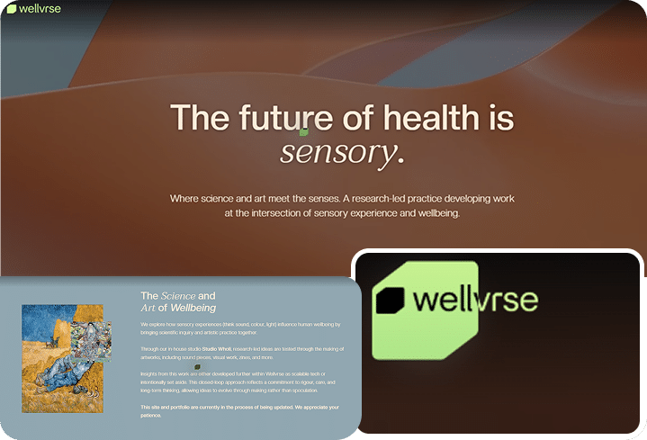 Wellvrse website preview